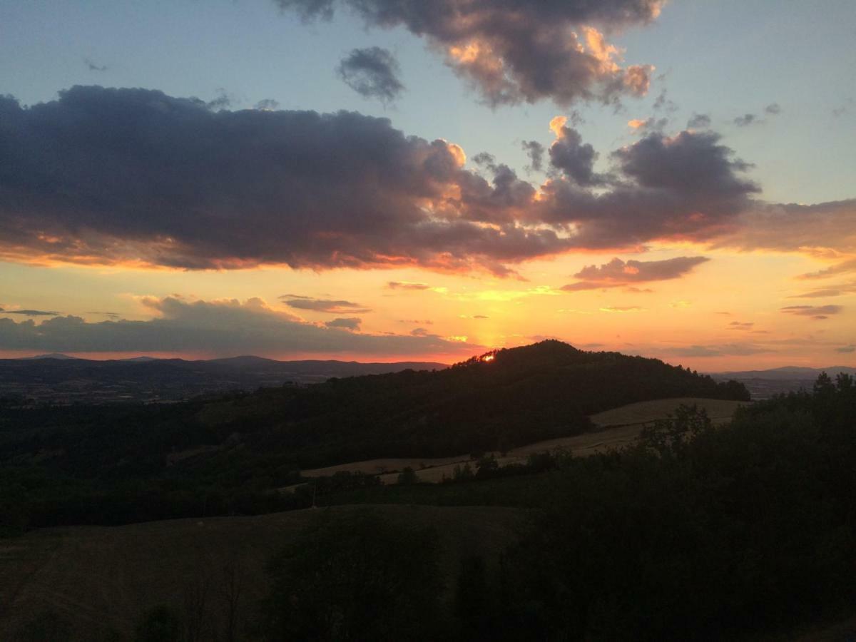 Umbria, "Casa Sagrantina" Con Piscina E Pergolato Leilighet Collazzone Eksteriør bilde