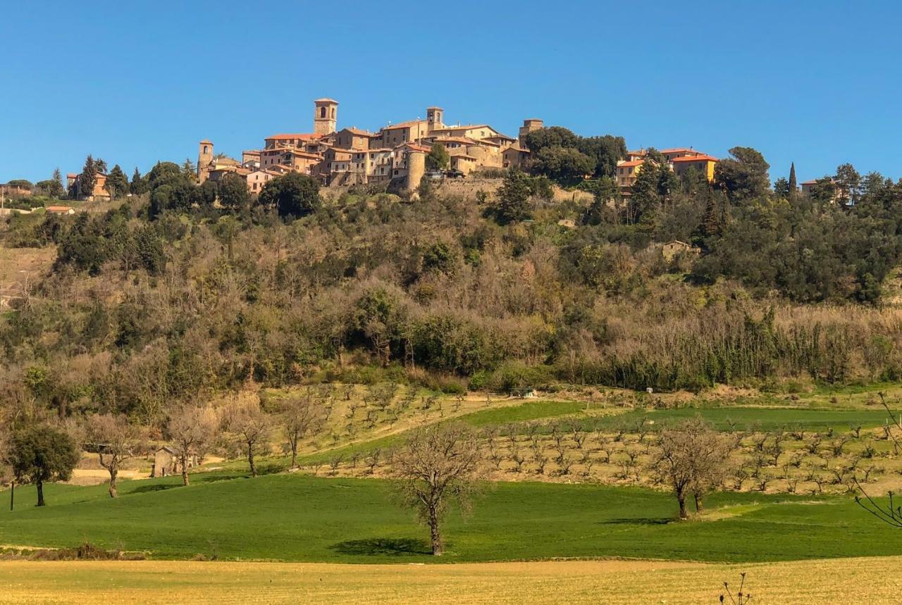 Umbria, "Casa Sagrantina" Con Piscina E Pergolato Leilighet Collazzone Eksteriør bilde