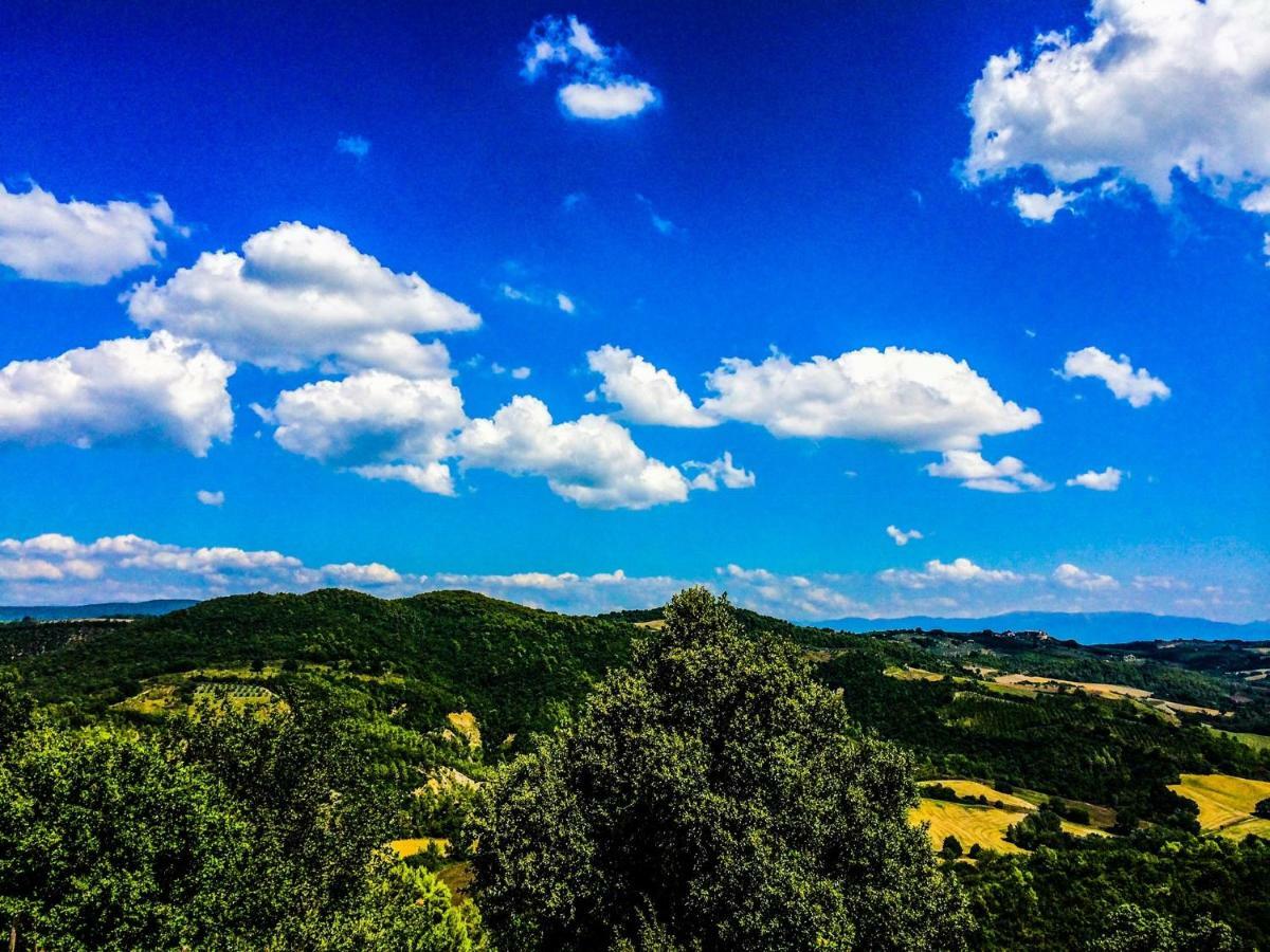 Umbria, "Casa Sagrantina" Con Piscina E Pergolato Leilighet Collazzone Eksteriør bilde